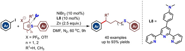 88. Ligand-promoted reductive coupling between aryl iodides and cyclic sulfonium salts by nickel catalysis