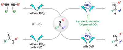 87. CO2 Transient Promotion Function Enabled the Selective Electrochemical Transformation of Imines