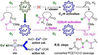 80. Computation Study on Copper-Catalyzed Aerobic Intramolecular Aminooxygenative C＝C Bond Cleavage to Imides: Different Roles of Mononuclear and Dinuclear Copper Complexes