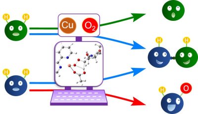 83. Recent Advances in Computational Study on Cu-Catalyzed Aerobic Reactions: Cooperation of Copper Catalysts  and Dioxygen