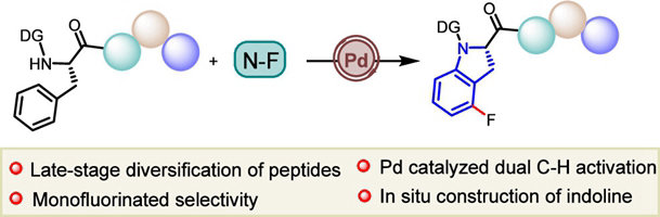 84. Late-Stage Diversification of Peptides via Pd-Catalyzed SiteSelective δ‑C(sp2)‑H Fluorination and Amination