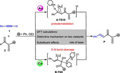 74. Distinctive Mechanistic Scenarios and Substituent Effects of  Gold(I) versus Copper(I) Catalysis for Hydroacylation of Terminal Alkynes with Glyoxal Derivatives