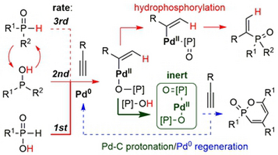 77. Computational Study Revealing the Mechanistic Origin of Distinct Performances  of P(O)-H/OH Compounds in Palladium-Catalyzed Hydrophosphorylation of Terminal Alkynes: Switchable Mechanisms and Potential Side Reactions