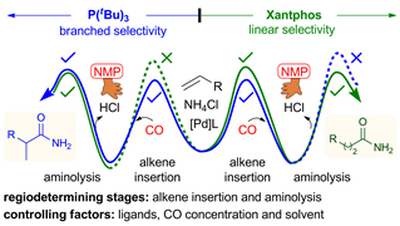 67. Double-Regiodetermining-Stages Mechanistic Model Explaining the  Regioselectivity of Pd-Catalyzed Hydroaminocarbonylation of Alkenes with Carbon Monoxide and Ammonium Chloride