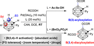 69. Palladium-Catalyzed Regioselective B(3,4)–H Acyloxylation of o-Carboranes