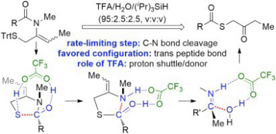 28. Mechanism of trifluoroacetic-acid-promoted N-to-S acyl transfer of enamides