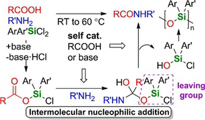 30. Mechanism of Amide Bond Formation from Carboxylic Acids and Amines Promoted by  9-Silafluorenyl Dichloride Derivatives