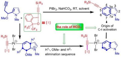 31. Mechanistic Study on Platinum-Catalyzed Domino Reaction of Benziodoxole and Pyrrole Homopropargylic  Ethers for Indole Synthesis