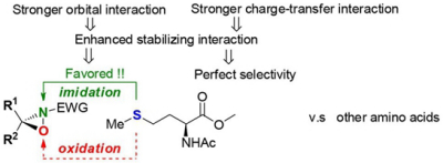 32. Mechanism and Origin of Chemical Selectivity in Oxaziridine-Based Methionine Modification:  A Computational Study