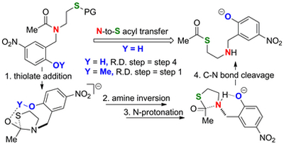 35. Mechanism of N-to-S acyl transfer of N-(2-hydroxybenzyl) cysteine derivatives and origin of  phenol acceleration effect