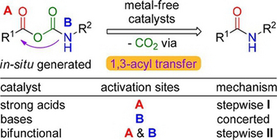 36. Mechanism and Rate-Determining Factors of Amide Bond Formation  through Acyl Transfer of Mixed Carboxylic–Carbamic Anhydrides: A Computational Study