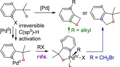 39. Mechanism of Palladium-Catalyzed Alkylation of Aryl Halides with Alkyl Halides  through C–H Activation: A Computational Study