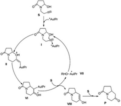 42. A DFT mechanistic study on gold(I)-catalyzed cascade reaction of aminaloalkyne  involving Petasis-Ferrier cyclization