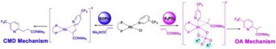 44. Theoretical study on the base-controlled selective linear or branched ortho-alkylation of azines  catalyzed by rhodium: Mechanisms and the role of base