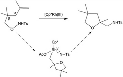 45. Theoretical study on the intramolecular oxyamination involved in Rh(III)-catalyzed cyclization  of unsaturated alkoxyamines