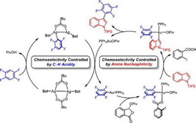 47. C–H Acidity and Arene Nucleophilicity as Orthogonal  Control of Chemoselectivity in Dual C–H Bond Activation