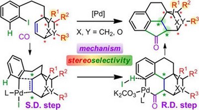 48. Mechanism and Origin of Stereoselectivity of Pd-Catalyzed Cascade Annulation of Aryl Halide,  Alkene, and Carbon Monoxide via C–H Activation