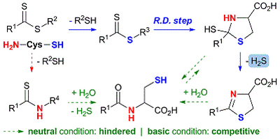 50. A Computational Study on H2S Release and Amide Formation from  Thionoesters and Cysteine