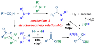 51. The mechanism and structure-activity relationshipof amide bond formation  by silane derivatives: a computational study