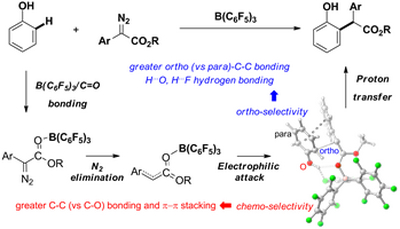 54. Mechanistic insights into the Chemo- and Regio-selective  B(C6F5)3 Catalyzed C-H Functionalization of Phenols with Diazoesters