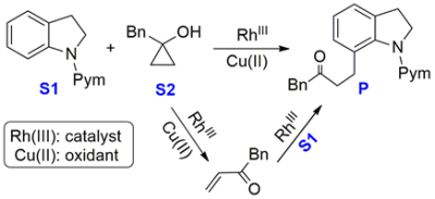 62. Mechanism of Rh(III)-Catalyzed Alkylation of N-Pyrimidylindoline  with Cyclopropanols: A DFT Study