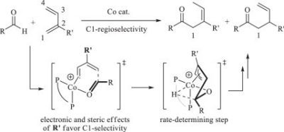 14. Mechanistic study on the regioselectivity of Co-catalyzed hydroacylation of 1,3-dienes