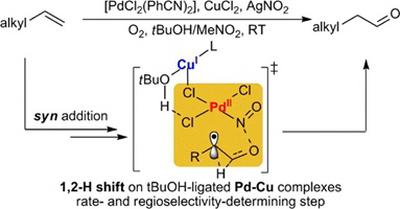 16. Mechanism of Aldehyde-Selective Wacker-Type Oxidation of Unbiased Alkenes with a Nitrite Co-Catalyst