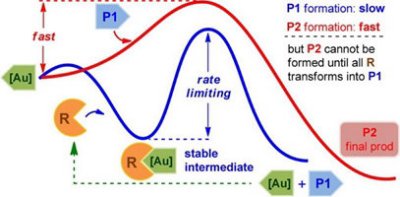 22. Theoretical Study of Gold-Catalyzed Cyclization of 2-Alkynyl-N-propargylanilines  and Rationalization of Kinetic Experimental Phenomena