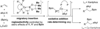 25. Mechanism of Ligand‐Controlled Regioselectivity‐Switchable Copper‐Catalyzed  Alkylboration of Alkenes