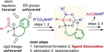 26. A Ligand-Dissociation-Involved Mechanism in Amide Formation of  Monofluoroacylboronates with Hydroxylamines