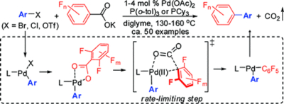 1. Pd-Catalyzed Decarboxylative Cross Coupling of Potassium Polyfluorobenzoates with Aryl  Bromides, Chlorides, and Triflates