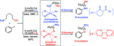 2. Alternative Mechanistic Explanation for Ligand-Dependent Selectivities in Copper-Catalyzed N- and O-Arylation Reactions