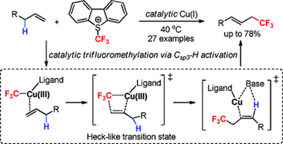 3. Copper-Catalyzed Trifluoromethylation of Terminal Alkenes  through Allylic C–H Bond Activation