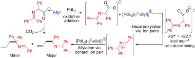 4. Mechanism of the Pd‐catalyzed Decarboxylative Allylation of  α-Imino Esters: Decarboxylation via Free Carboxylate Ion