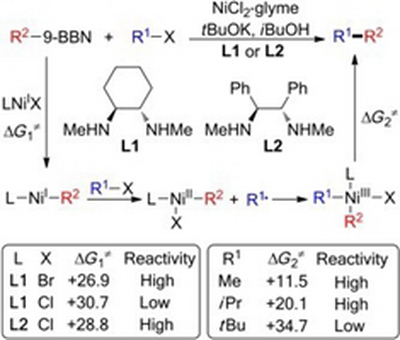 5. Theoretical Study on the Mechanism of Ni‐Catalyzed Alkyl–Alkyl Suzuki Cross‐Coupling