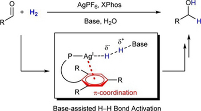 11. Theoretical Study on Homogeneous Hydrogen Activation Catalyzed by Cationic Ag(I) Complex