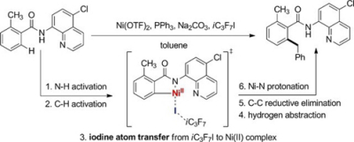 12. Mechanism of Nickel(II)‐Catalyzed Oxidative C(sp2)?H/C(sp3)?H Coupling of Benzamides  and Toluene Derivatives