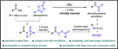 91. Direct decarboxylative C–N coupling with dioxazolones mediated by a base